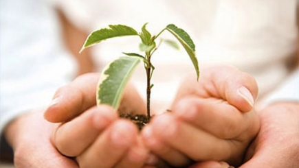 Новости и события | фото №