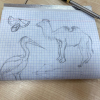 Новости и события | фото №